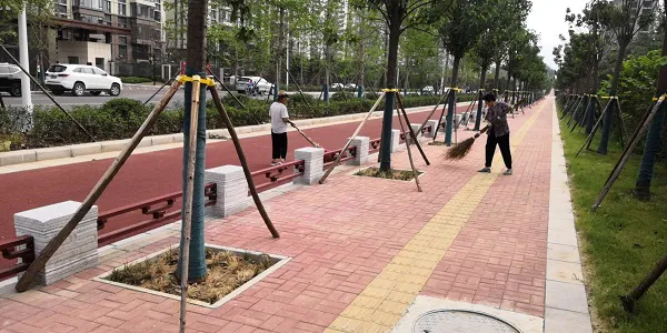 道路護欄樣式圖